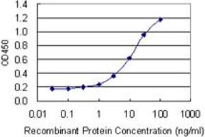 Detection limit for recombinant GST tagged EXOSC5 is 0. (EXOSC5 anticorps  (AA 1-235))