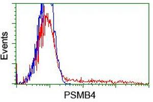 Flow Cytometry (FACS) image for anti-Proteasome (Prosome, Macropain) Subunit, beta Type, 4 (PSMB4) antibody (ABIN1500473) (PSMB4 anticorps)