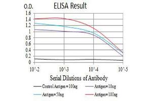 Black line: Control Antigen (100 ng),Purple line: Antigen (10 ng), Blue line: Antigen (50 ng), Red line:Antigen (100 ng)