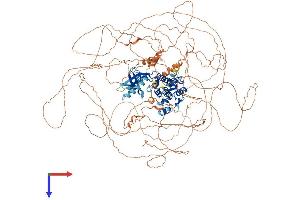 AlphaFold protein structure predicition of Mouse Recombinant Map3k19 Protein, UniprotID E9Q3S4