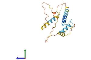 AlphaFold protein structure predicition of Mouse Recombinant Id1 Protein, UniprotID P20067