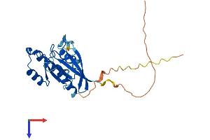 AlphaFold protein structure predicition of Mouse Recombinant Rab33b Protein, UniprotID O35963