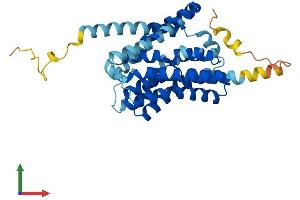 AlphaFold protein structure predicition of Mouse Recombinant Slc10a2 Protein, UniprotID P70172