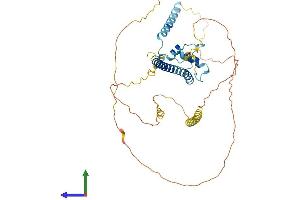 AlphaFold protein structure predicition of Mouse Recombinant Nkap Protein, UniprotID Q9D0F4