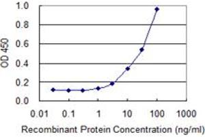 Detection limit for recombinant GST tagged DPYSL4 is 1 ng/ml as a capture antibody. (DPYSL4 anticorps  (AA 461-559))