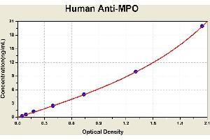 Diagramm of the ELISA kit to detect Human Ant1 -MPOwith the optical density on the x-axis and the concentration on the y-axis. (Anti-Myeloperoxidase Antibody Kit ELISA)