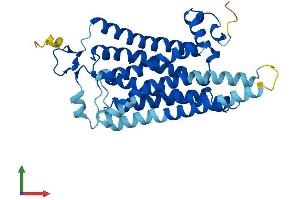 AlphaFold protein structure predicition of Mouse Recombinant Taar9 Protein, UniprotID Q5QD04