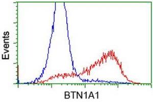 Flow Cytometry (FACS) image for anti-Butyrophilin, Subfamily 1, Member A1 (BTN1A1) antibody (ABIN1496986) (BTN1A1 anticorps)