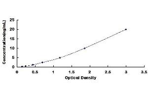 Typical standard curve (DUSP6 Kit ELISA)
