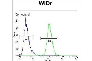 PIK3R5 Antibody (C-term) (ABIN655491 and ABIN2845011) flow cytometric analysis of WiDr cells (right histogram) compared to a negative control cell (left histogram). (PIK3R5 anticorps  (C-Term))
