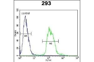 TAC1 Antibody (C-term) (ABIN652053 and ABIN2840522) flow cytometric analysis of 293 cells (right histogram) compared to a negative control cell (left histogram). (TAC1 anticorps  (C-Term))