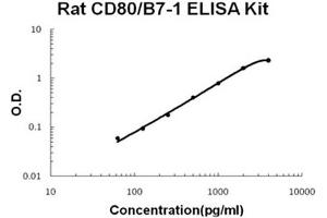 Rat CD80/B7-1 Accusignal ELISA Kit Rat CD80/B7-1 AccuSignal ELISA Kit standard curve. (CD80 Kit ELISA)