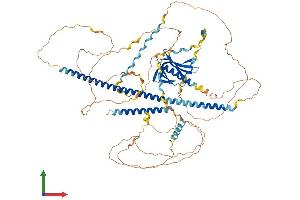 AlphaFold protein structure predicition of Mouse Recombinant Enah Protein, UniprotID Q03173