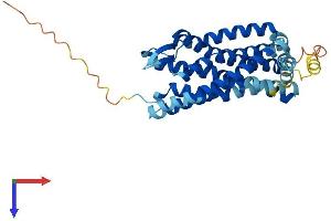 AlphaFold protein structure predicition of Mouse Recombinant Ccr1 Protein, UniprotID P51675