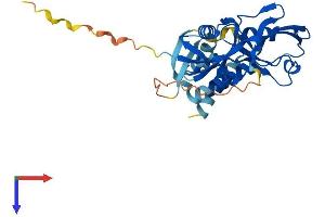 AlphaFold protein structure predicition of Mouse Recombinant Gipc3 Protein, UniprotID Q8R5M0