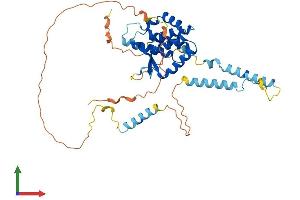 AlphaFold protein structure predicition of Mouse Recombinant Snapc1 Protein, UniprotID Q8K0S9