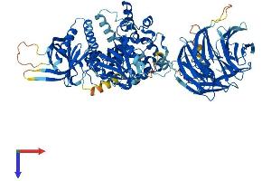 AlphaFold protein structure predicition of Human Recombinant NSMAF Protein, UniprotID Q92636