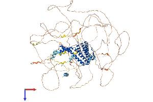 AlphaFold protein structure predicition of Mouse Recombinant Aff4 Protein, UniprotID Q9ESC8