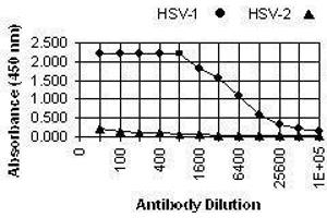 ELISA image for anti-Herpes Simplex Virus Type 1, Glycoprotein C (HSV1 gC) antibody (ABIN265558) (HSV-1 gC anticorps)
