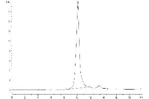 The purity of Human HPN is greater than 95 % as determined by SEC-HPLC.