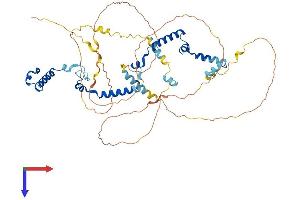 AlphaFold protein structure predicition of Human Recombinant PHACTR3 Protein, UniprotID Q96KR7