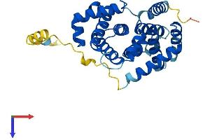 AlphaFold protein structure predicition of Human Recombinant CCNG1 Protein, UniprotID P51959