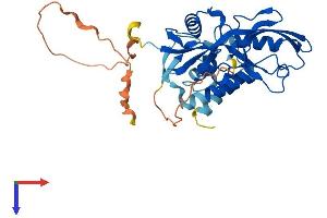 AlphaFold protein structure predicition of Human Recombinant GIPC1 Protein, UniprotID O14908