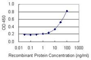 Detection limit for recombinant GST tagged RPLP1 is 1 ng/ml as a capture antibody.