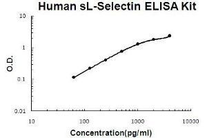 Human sL-Selectin PicoKine ELISA Kit standard curve