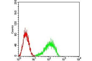 Flow cytometric analysis of HL-60 cells using CD354 mouse mAb (green) and negative control (red).