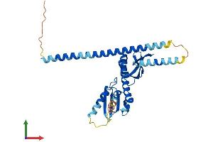 AlphaFold protein structure predicition of Human Recombinant CENPO Protein, UniprotID Q9BU64