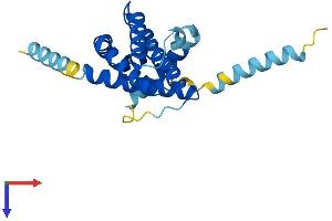 AlphaFold protein structure predicition of Human Recombinant BOK Protein, UniprotID Q9UMX3