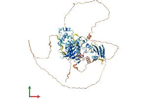 AlphaFold protein structure predicition of Mouse Recombinant Brsk2 Protein, UniprotID Q69Z98
