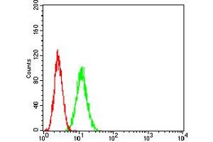 Flow cytometric analysis of HeLa cells using ADAR mouse mAb (green) and negative control (red).