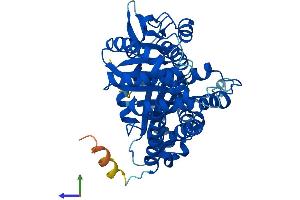 AlphaFold protein structure predicition of Human Recombinant TUBB2B Protein, UniprotID Q9BVA1
