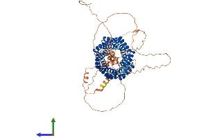 AlphaFold protein structure predicition of Human Recombinant GPSM2 Protein, UniprotID P81274