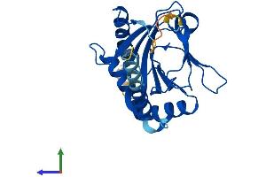 AlphaFold protein structure predicition of Mouse Recombinant Egln3 Protein, UniprotID Q91UZ4