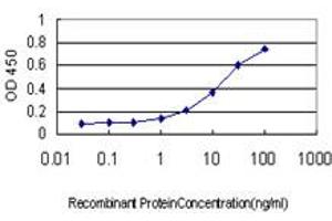 Detection limit for recombinant GST tagged INSRR is approximately 0. (INSRR anticorps  (AA 651-760))