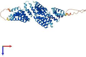 AlphaFold protein structure predicition of Mouse Recombinant Anapc7 Protein, UniprotID Q9WVM3