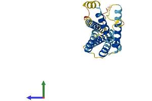 AlphaFold protein structure predicition of Human Recombinant INSIG2 Protein, UniprotID Q9Y5U4