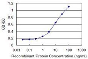 Detection limit for recombinant GST tagged NAE1 is 0. (NAE1 anticorps  (AA 1-534))