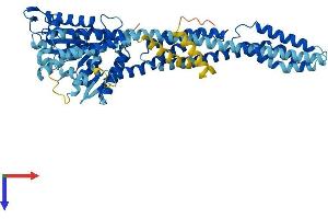 AlphaFold protein structure predicition of Human Recombinant GBP7 Protein, UniprotID Q8N8V2