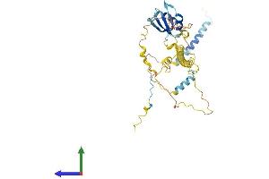 AlphaFold protein structure predicition of Human Recombinant NELFE Protein, UniprotID P18615