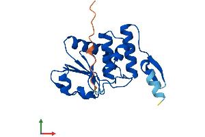 AlphaFold protein structure predicition of Mouse Recombinant Dusp21 Protein, UniprotID Q9D9D8