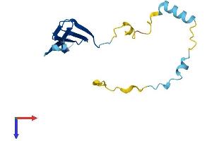 AlphaFold protein structure predicition of Mouse Recombinant Tcap Protein, UniprotID O70548
