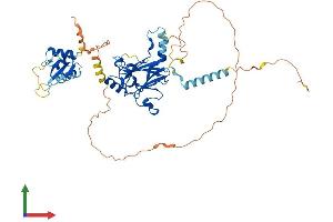 AlphaFold protein structure predicition of Mouse Recombinant Irf5 Protein, UniprotID P56477