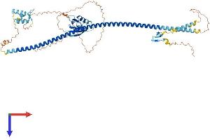 AlphaFold protein structure predicition of Mouse Recombinant Stxbp4 Protein, UniprotID Q9WV89