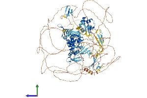 AlphaFold protein structure predicition of Human Recombinant NEDD4 Protein, UniprotID P46934