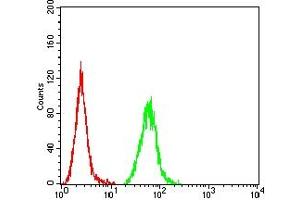 Flow cytometric analysis of Hela cells using FAP mouse mAb (green) and negative control (red).