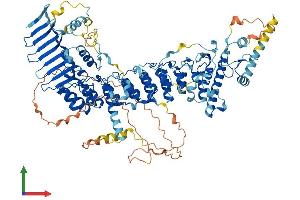 AlphaFold protein structure predicition of Human Recombinant ANKMY1 Protein, UniprotID Q9P2S6